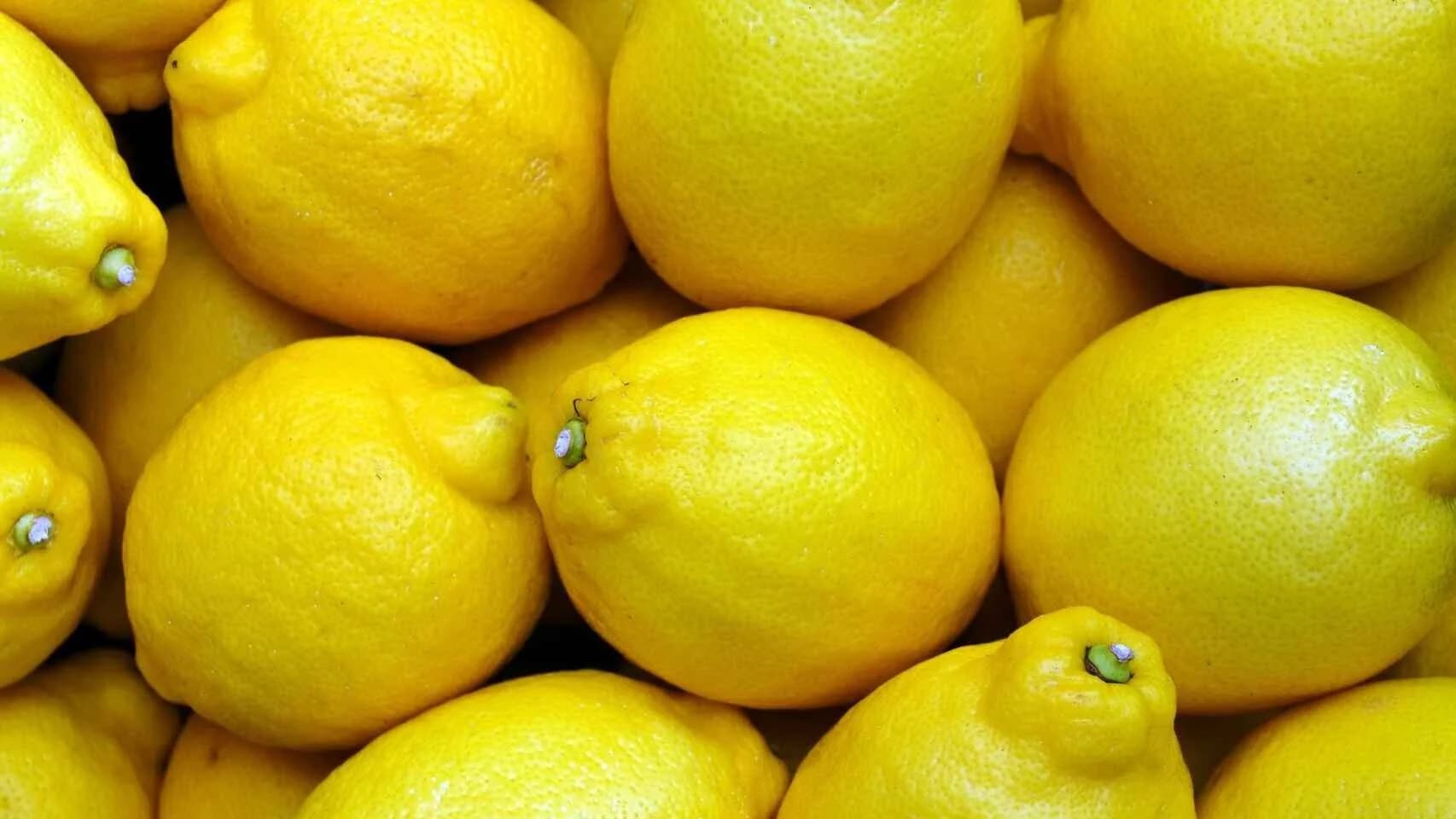 Limón