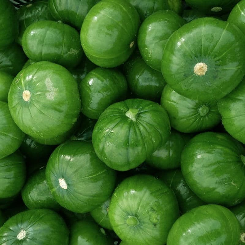 Zapallitos